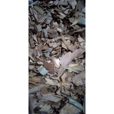 media tanam humus daun bambu