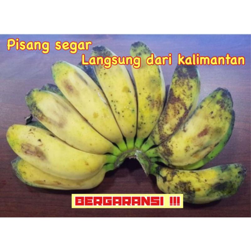 

Pisang Kepok segar langsung dari Kalimantan,DIJAMIN SEGAR SAMPAI TUJUAN !