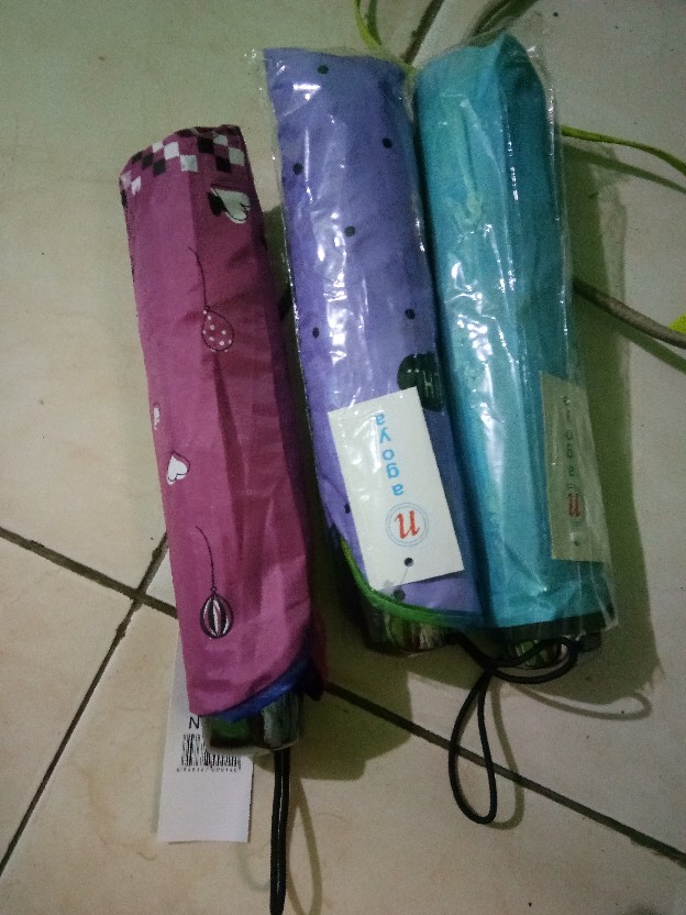 Payung Lipat 3 Dimensi Magic Pelangi Basah Keluar Kembang