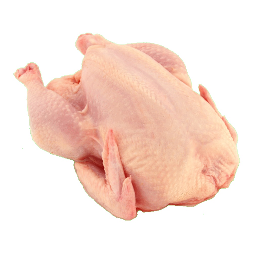 

AYAM BROILER 8-9 ONS PREMIUM TERMURAH