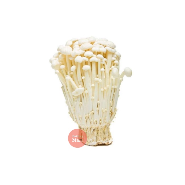 

Jamur Enoki /Enoki Mushroom kemasan 100gram