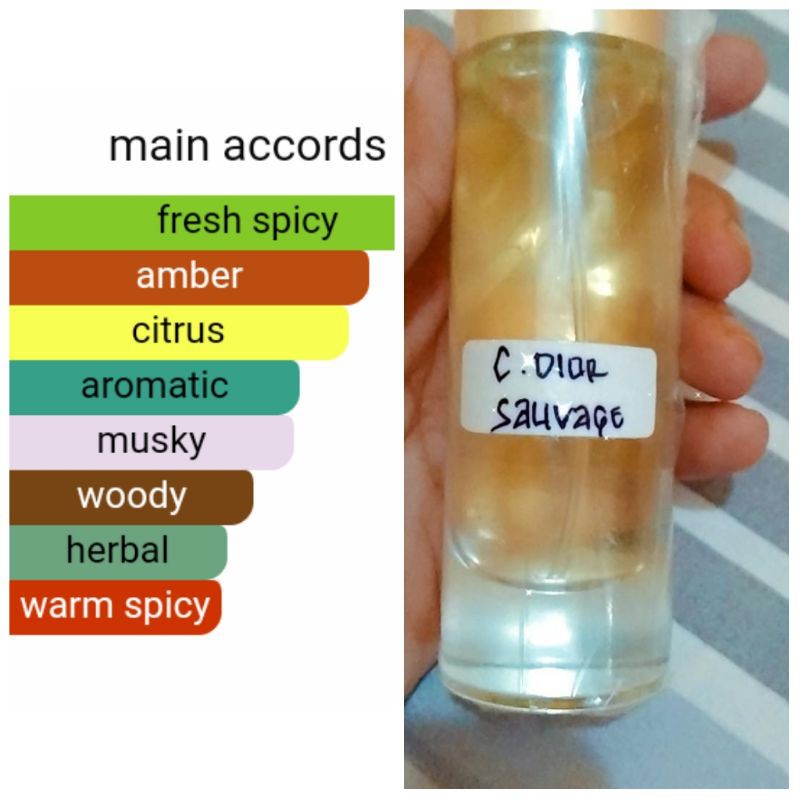 parfum isi ulang searah Dior sauvage