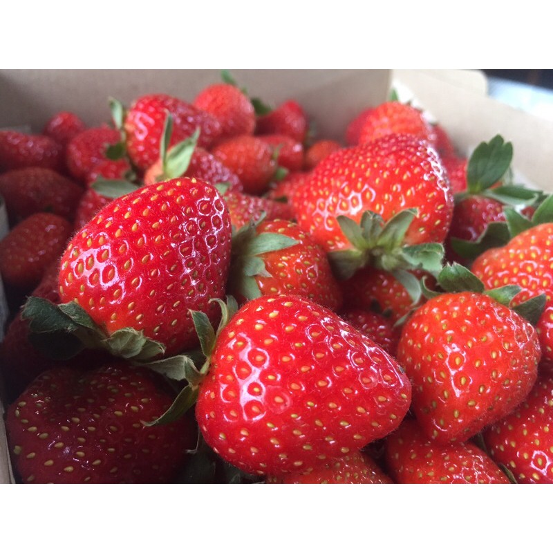

Strawberry Fresh California