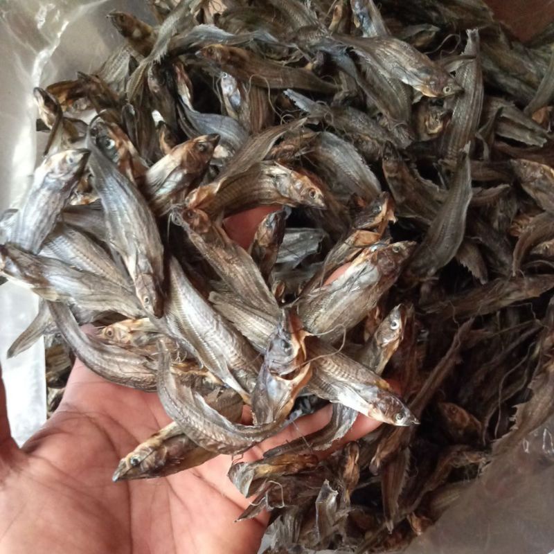 

LAIS KECIL | 1 KILOGRAM | TERMURAH | IKAN ASIN LAIS KECIL | IKAN ASIN SELAIS | IKAN ASIN