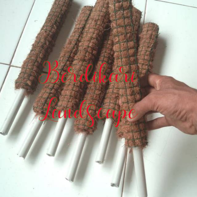 Penyangga tanaman rambat