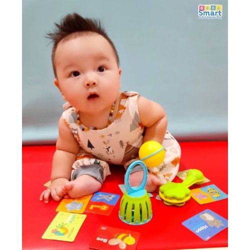 Bebe Smart Rattles &amp; Flash Card - Mainan Anak