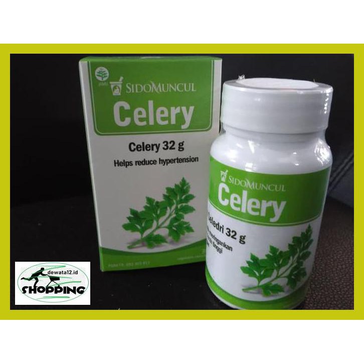 

Obat Herbal- Obat Herbal Sido Muncul - Celery ( Hipertensi/Tekanan Darah Tinggi ) 6Eruio46-