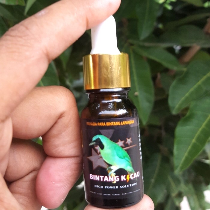 Dftoiutamtam Atasi Cucak Ijo Macet. Vitamin Doping Burung Cucak Ijo Gacor