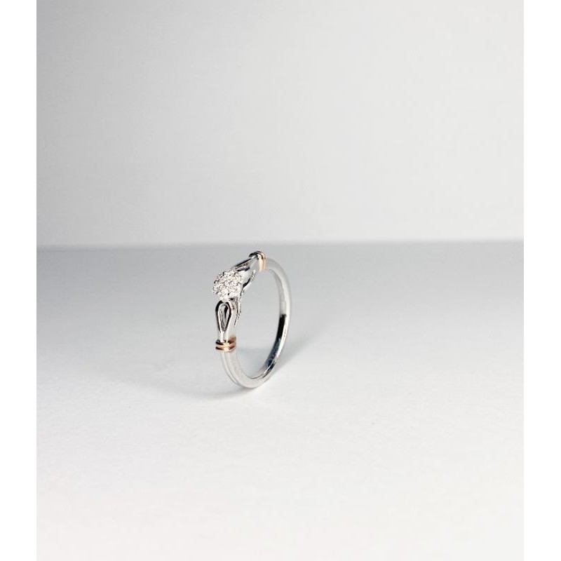 Clarte Jewellery LRG2079