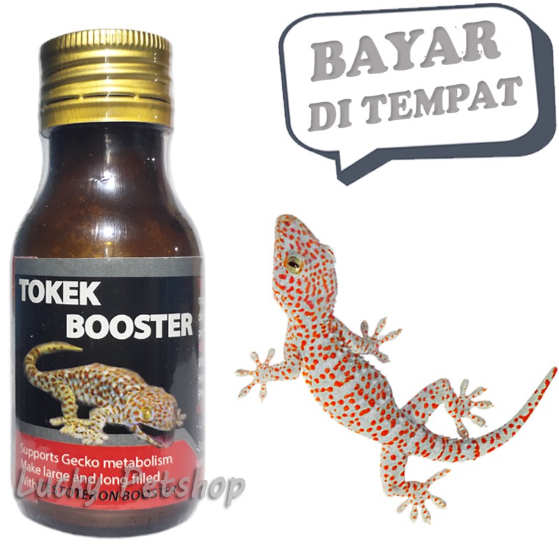 VITAMIN PERTUMBUHAN REPTIL GECKO TOKEK BOOSTER