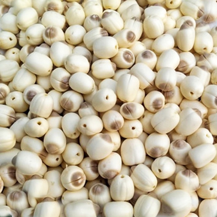 

ds201fs Biji Teratai / White Lotus Seed / Lienci / Lian Zhe | @250Gr (Bersih) Dscscv