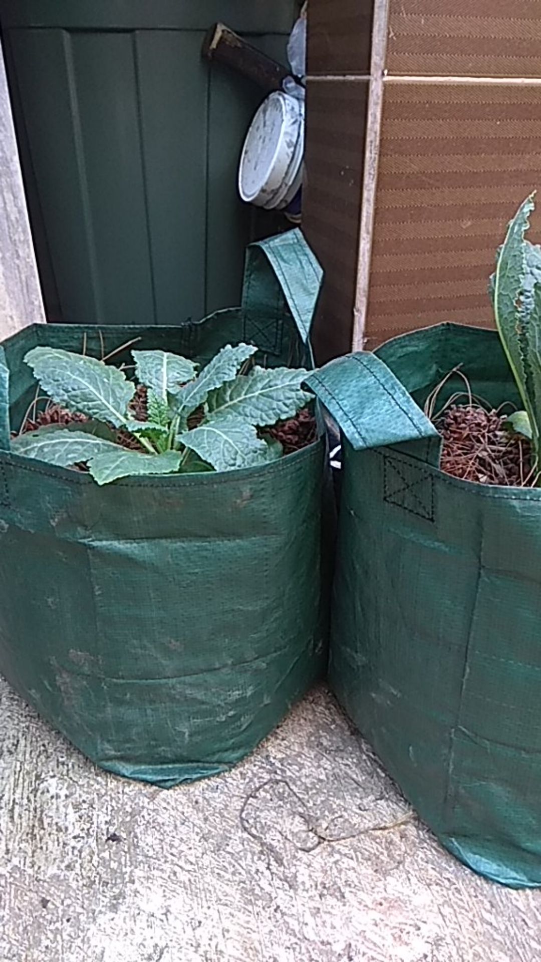 Growing Bag Planterbag 25 Liter Hijau Polibag Besar