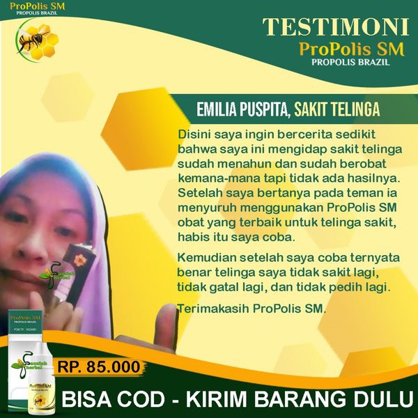 Obat Tetes Telinga Bau/Berair/Bernanah/Tersumbat/Congek Aman Untuk Anak Dan Dewasa Propolis SM Asli