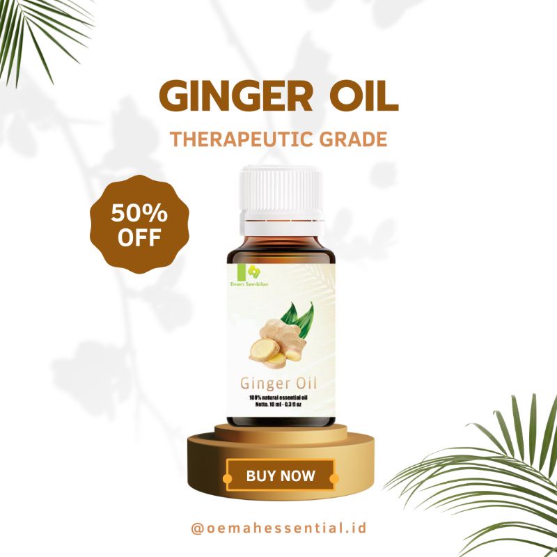 Ginger essential oil 10 ml minyak jahe murni