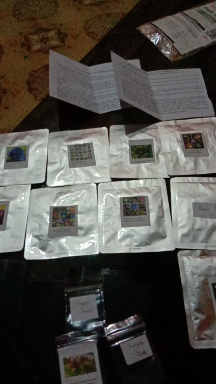 Benih Bibit Bunga Mawar Mixed 25 Warna (isi 50 Biji)