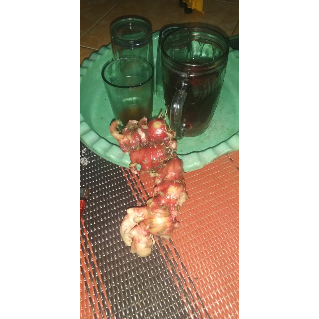 

Jahe Merah Segar