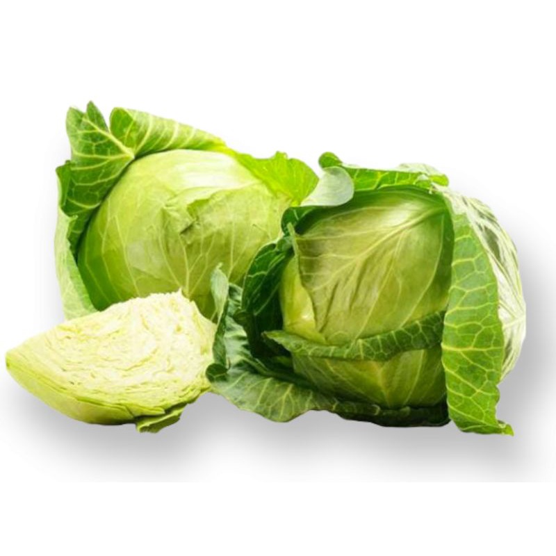 50 Butir Benih KOL KUBIS POLARIS ( Kemasan Repack )