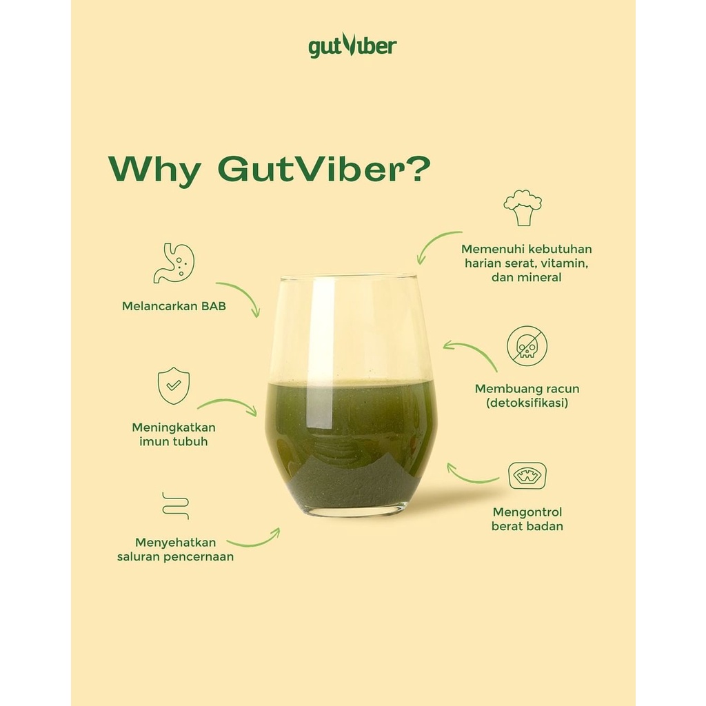 GUTVIBER MINUMAN SERAT BUAH &amp; SAYUR BOX | DETOX FIBER SLIM DRINK