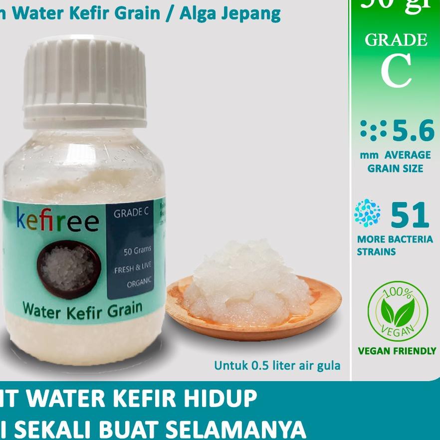 

✷ BIBIT WATER KEFIR HIDUP/WATER KEFIR GRAIN (FRESH) - KEFIREE (5O Gr) ✷