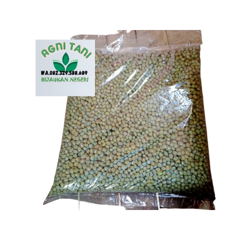 Kacang hijau lokal biji besar kusam.langsung produksi petani kemasan 1 kg