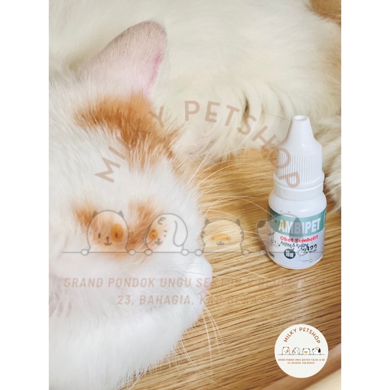 Ambipet Obat Sembelit Ambeien Kucing Anjing MURAH