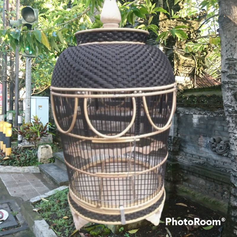 sangkar Kutut rotan tebok lepas