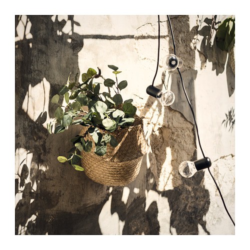 SMYCKA Daun tiruan, eucalyptus/hijau 65 cm