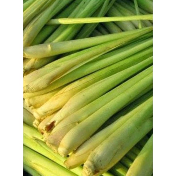 

Serai Segar 250 gr