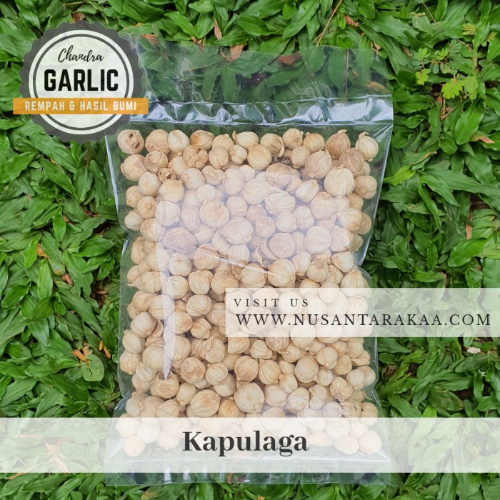 

Roxx.ea - .ea - .ea - Kapulaga / Kapolaga 100 Gr