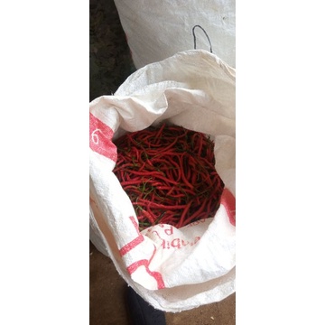 

RAWIT MERAH