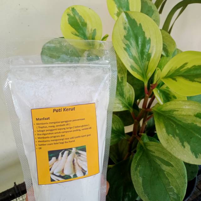 Tepung arrowrot/pati kerut/pati garut