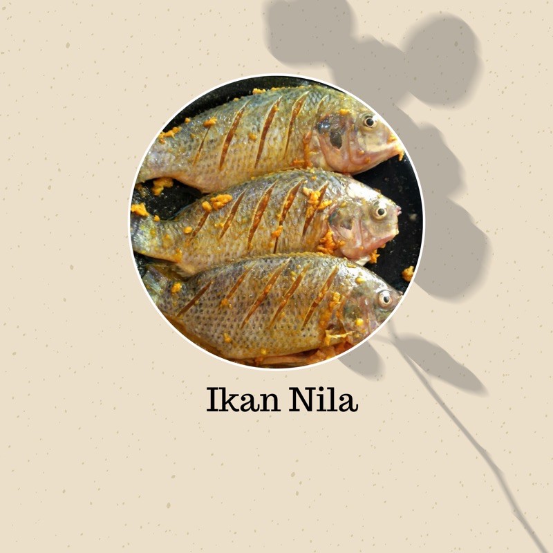Jual Ikan Nila Bumbu Kuning Frozen Food Indonesia Shopee Indonesia