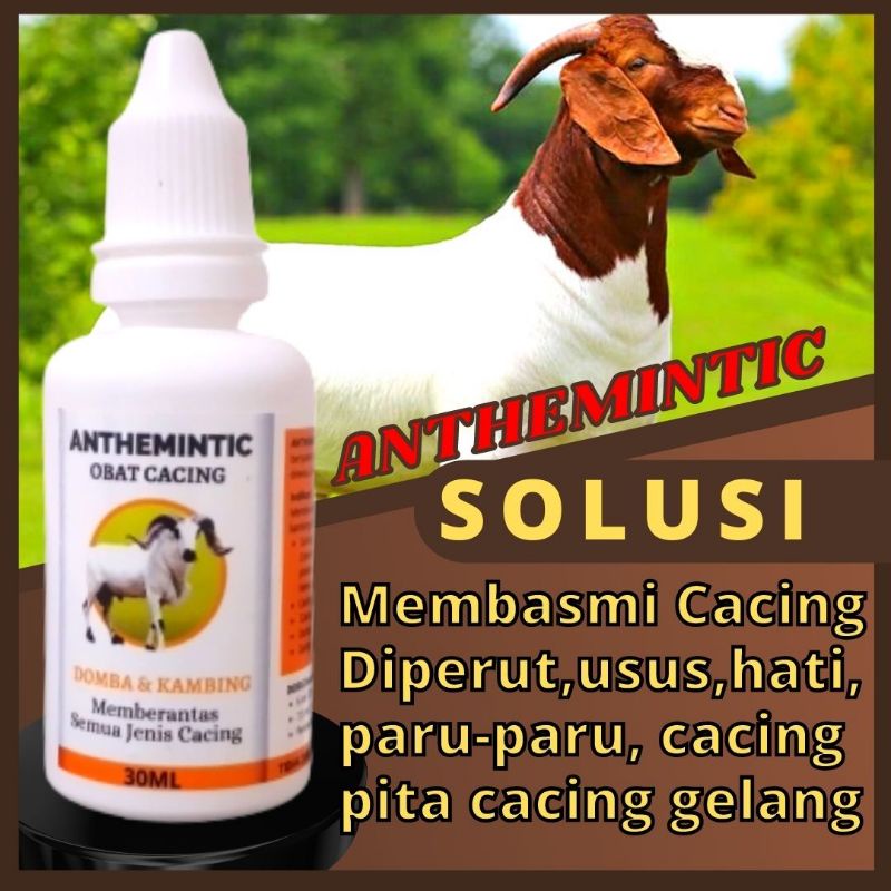 Jual Obat Cacing Kambing Domba Ampuh ANTHEMINTIC NDARUFRAM | Shopee ...