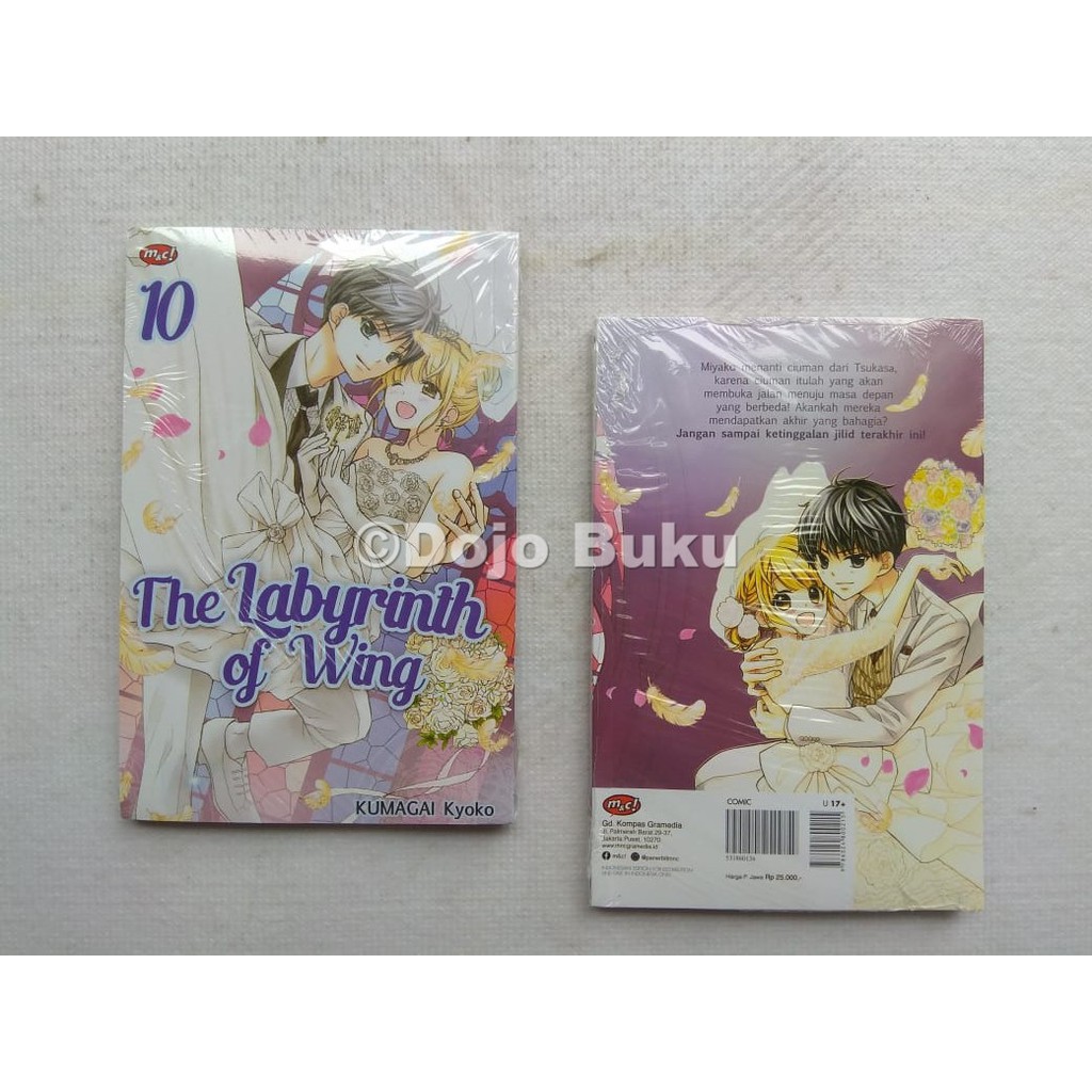 Komik Seri: The Labyrinth of Wing oleh Kyoko Kumagai