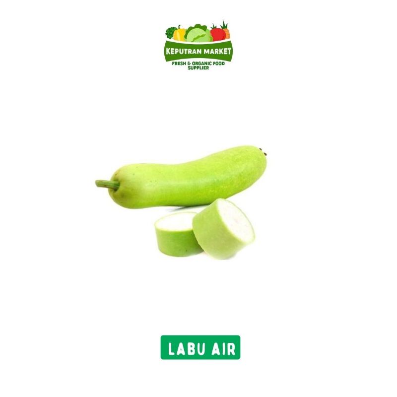 

Labu Air / Labu Putih Per Pcs / Sayur Segar