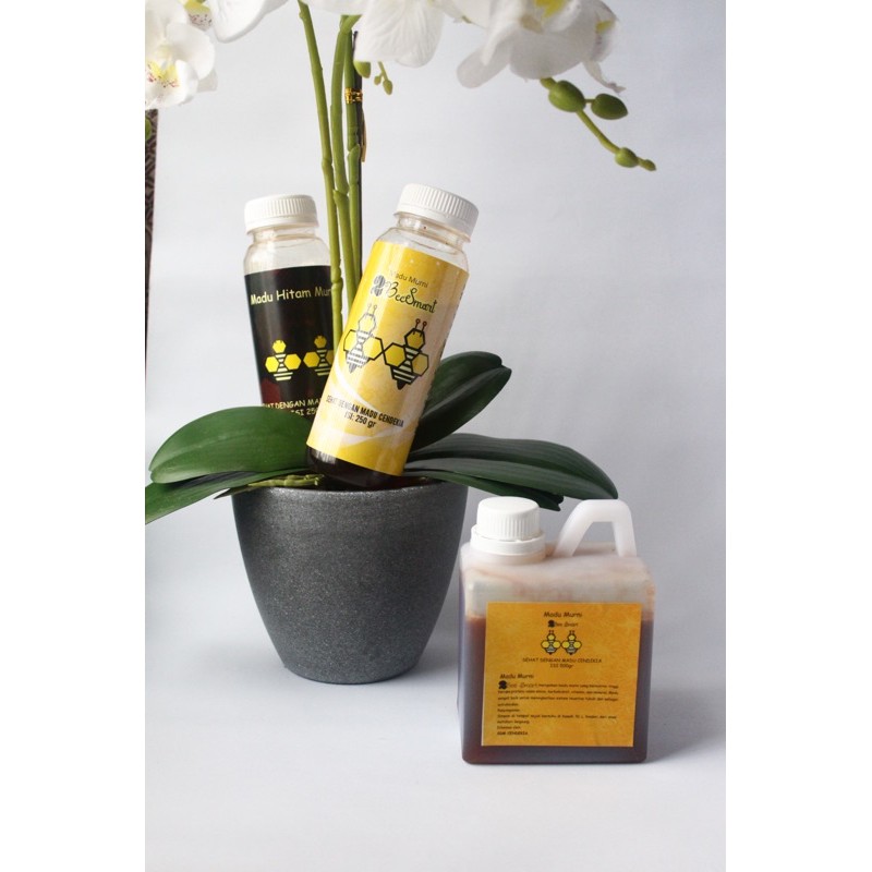 

PROMO MADU HUTAN MURNI COMBO 2