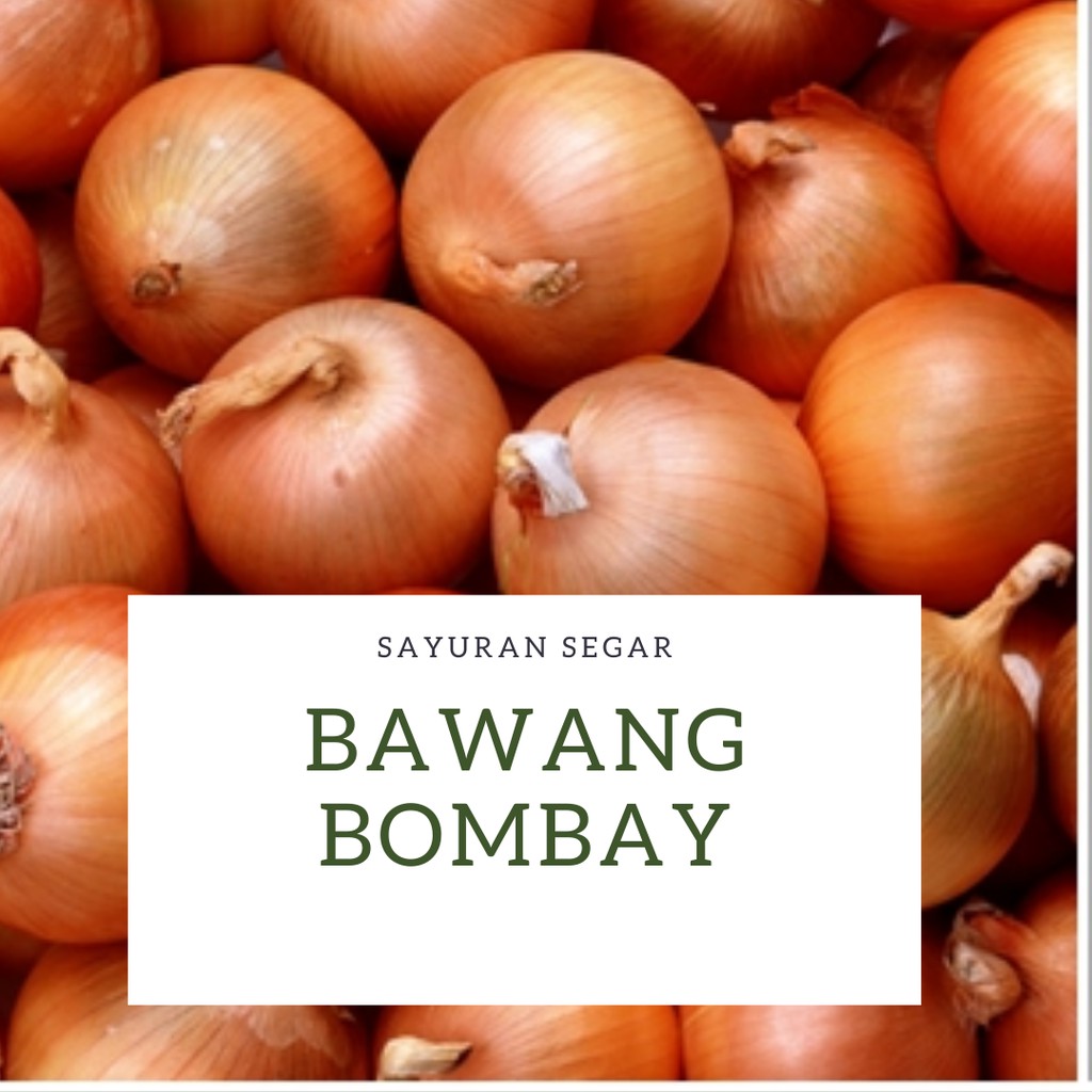 

BAWANG BOMBAY