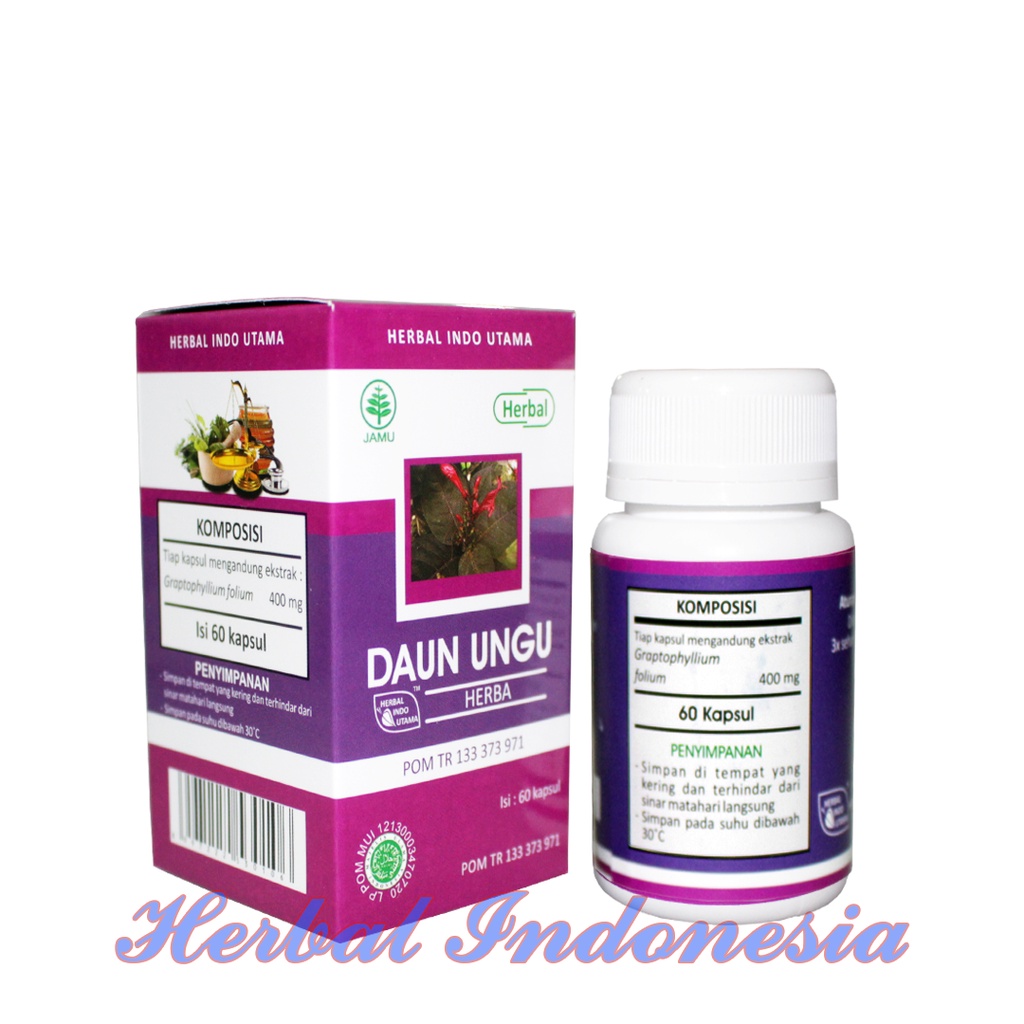 Kapsul Daun Ungu Herba HIU - Obat Wasir Original Isi 60