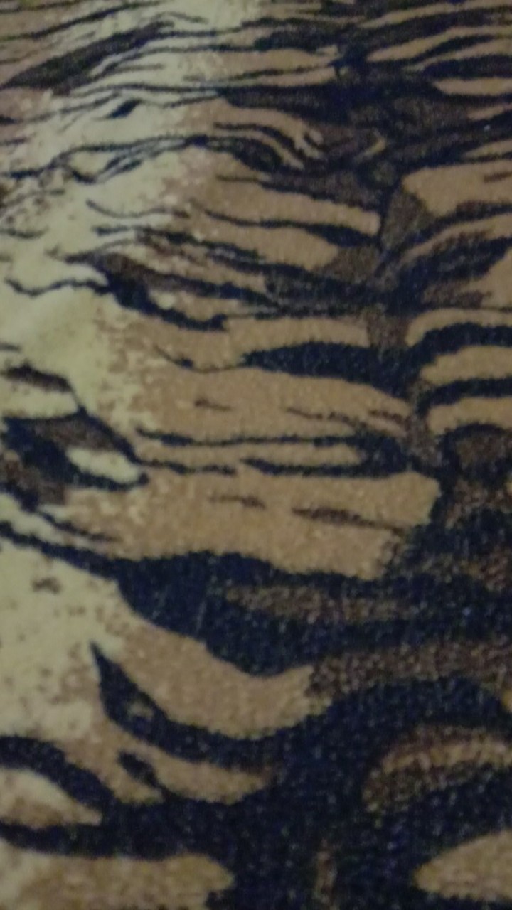 9100 Pp Primer Transparan Diton Premium Cat Pylox Pilox Semprot 400 Cc