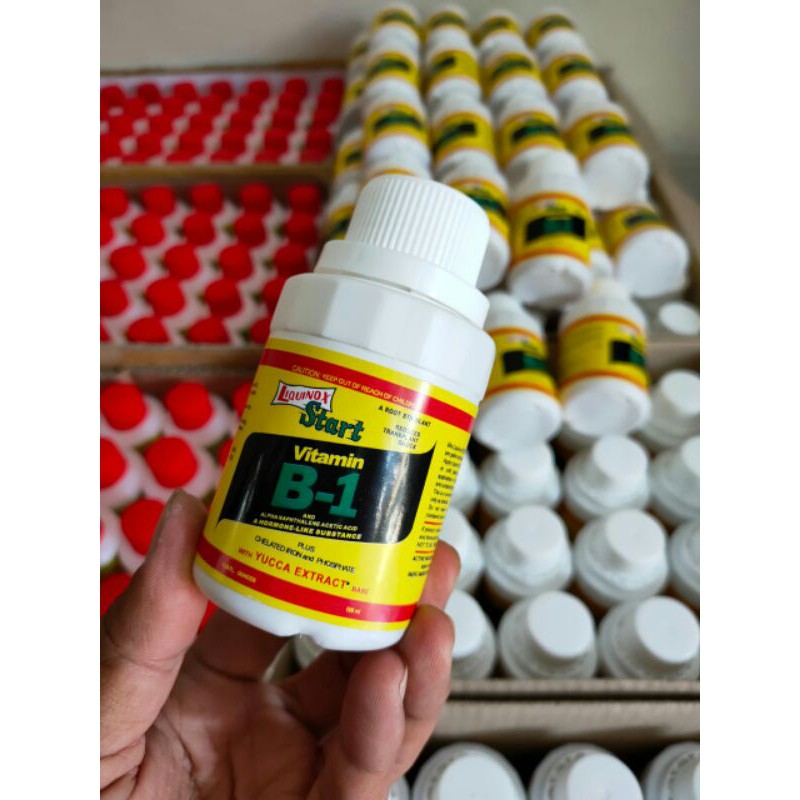 ORIGINAL VITAMIN B1 tanaman  ANTI STRESS pindah tanam Cangkok Stek Perangsang Akar