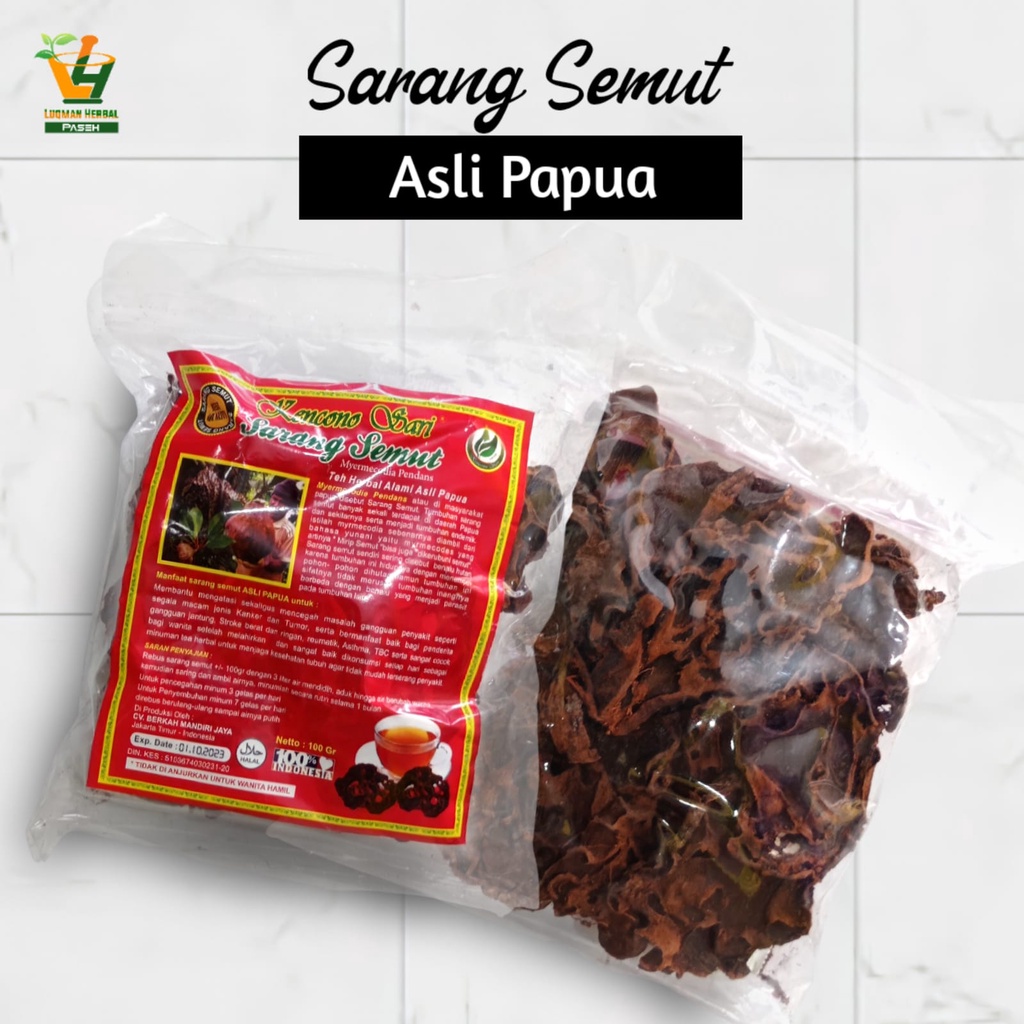 

Sarang Semut Original Asli Papua - Obat Kanker, Tumor, Stroke, Asthma, TBC, Gangguan Jantung