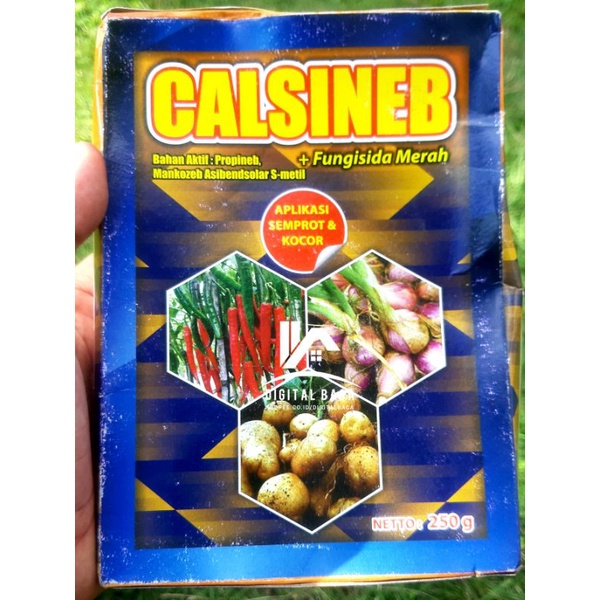Calsineb Fungisida Sistemik dan Kontak untuk Pengendalian Jamur, Cendawan dan Bakteri Merugikan pada