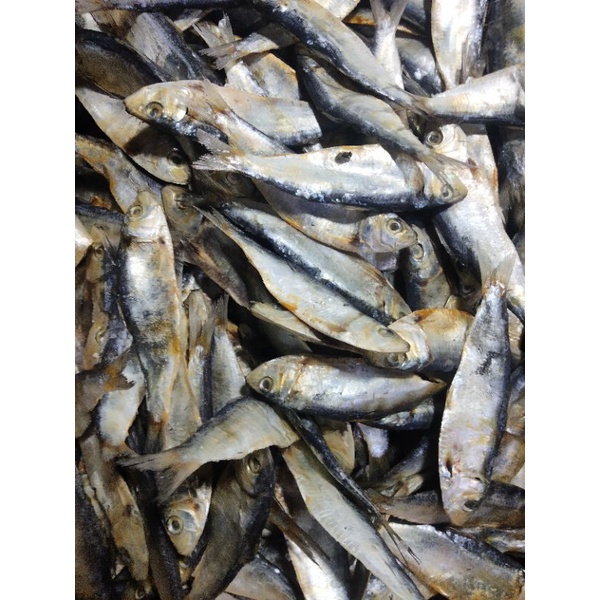 

ikan asin tembang1kg