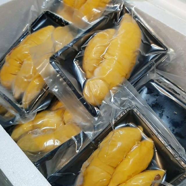 

MUSANGKING MALAY -+400-450GR