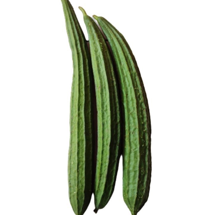 

Oyong Segar 500gr