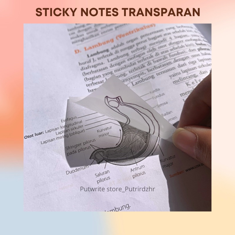 

Clear Sticky Notes Anti Air 50 pcs