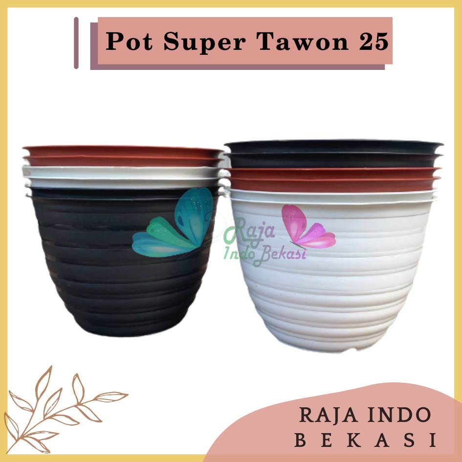 Pot Super Tawon 25 Putih Hitam Merah BataTerracota Terracotta Merah Coklat Garden Of Love Pot Tawon Putih Tirus Pot Tawon Pirus 18 20 21 25 27 - Pot Tawon 25