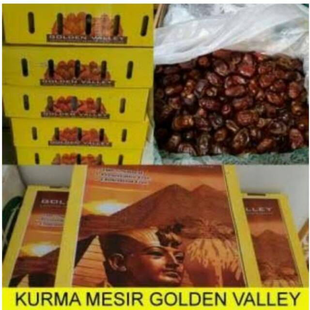 

Kurma mesir Golden Valley