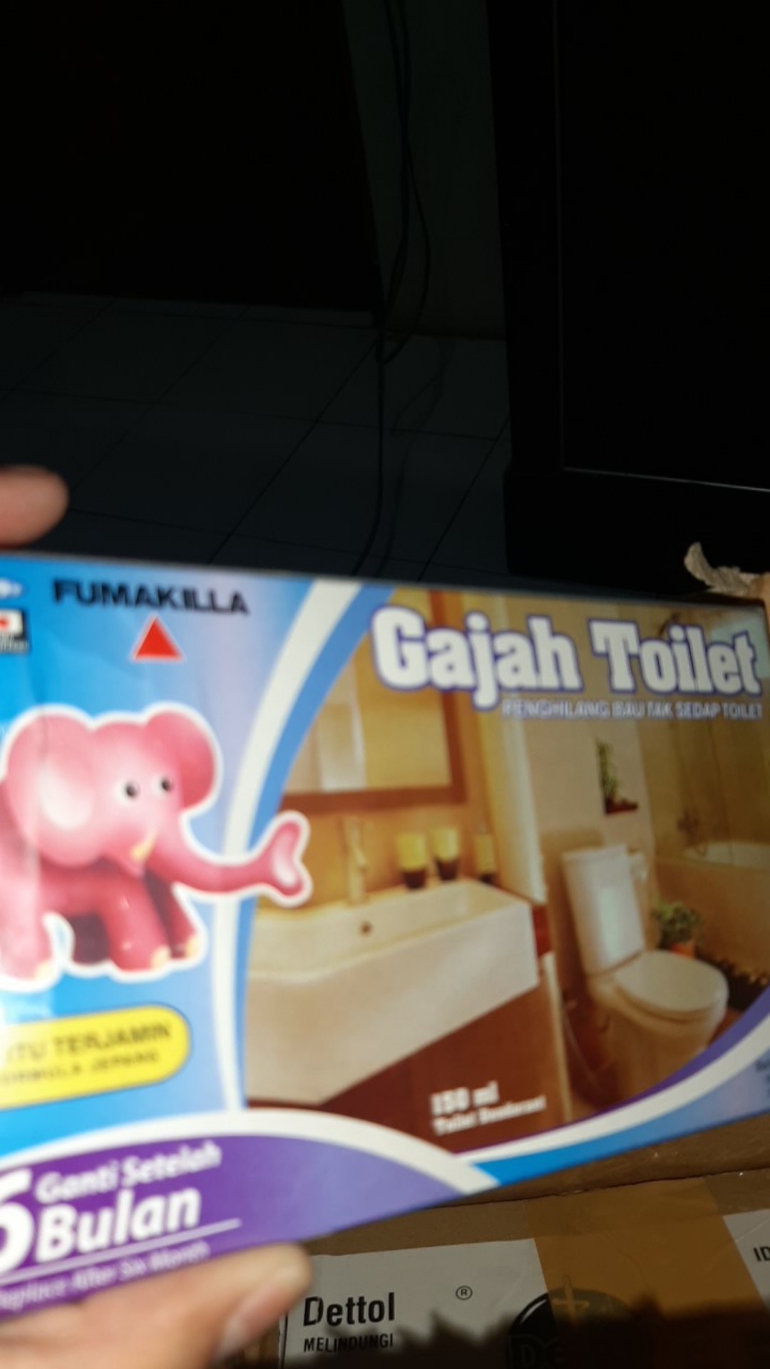 Gajah Toilet