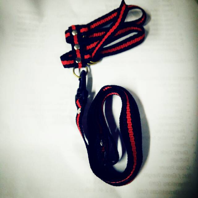 Hernes/tali kekang/harness sugar glider/iguana/tupai